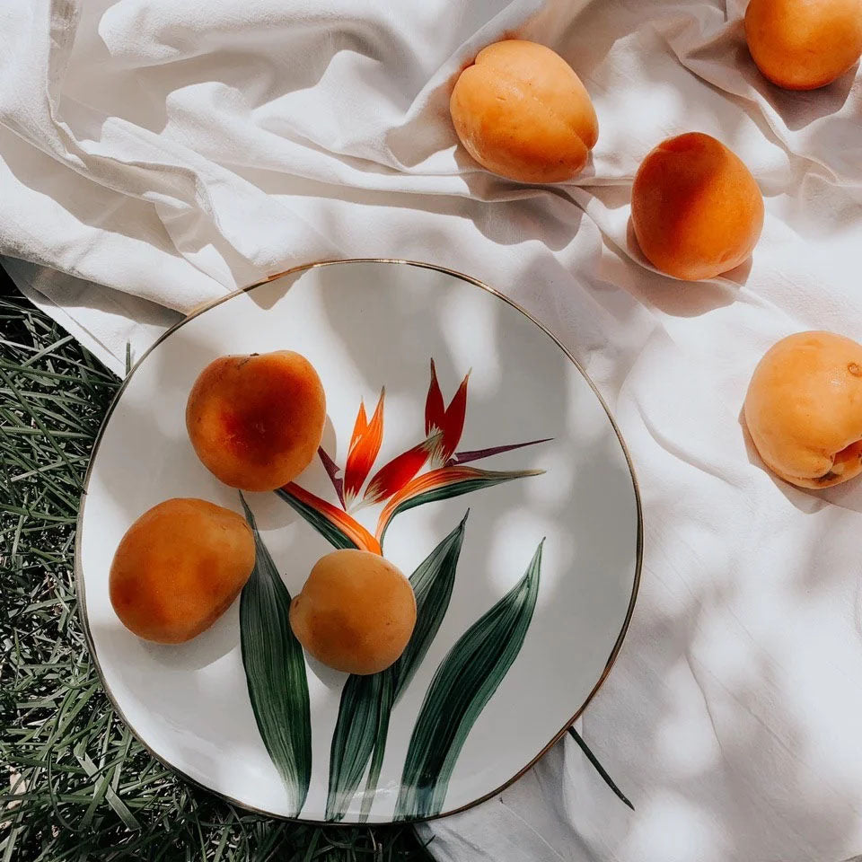 Ceramic plates - Strelitzia